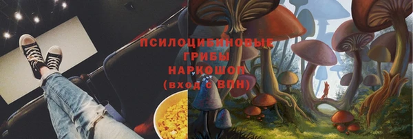 PSILOCYBIN Алзамай