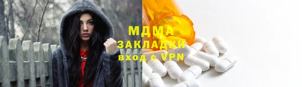 PSILOCYBIN Алзамай