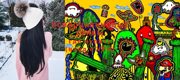 PSILOCYBIN Алзамай