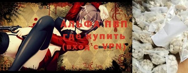 стафф Абинск