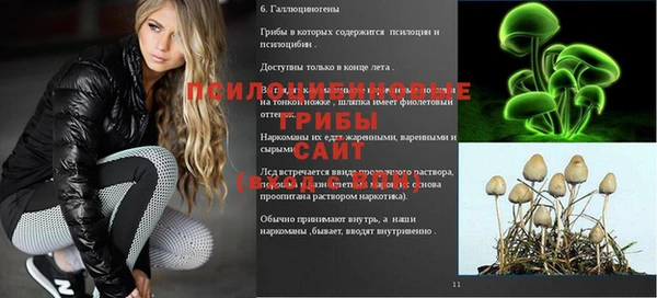 PSILOCYBIN Алзамай