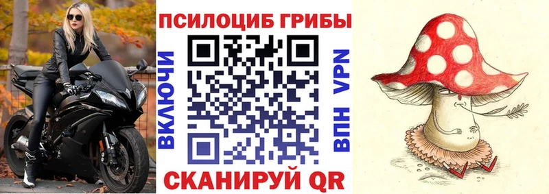 закладка  Карпинск  Галлюциногенные грибы Psilocybine cubensis 